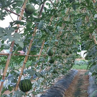 osm님의 우리동네 · 동네수다 작성글 사진