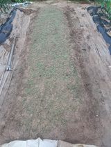 팜모닝 들깨·자유게시판 게시글 이미지