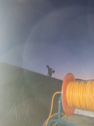 송포농원님의 두릅 · 제초 작성글 사진