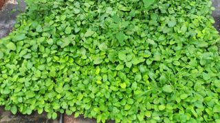 김상선님의 작성글 사진