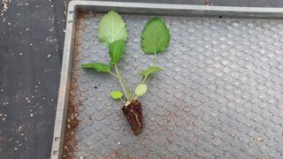 김상선님의 작성글 사진