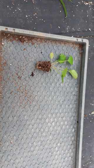 김상선님의 작성글 사진