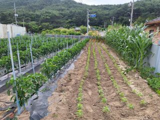 원디기님의 장마 대비 어떻게 하셨나요? · 참여 작성글 사진