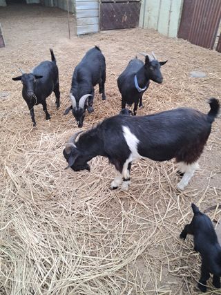 김석현님의 자유주제 · 자유게시판 작성글 사진