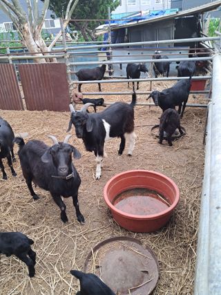 김석현님의 자유주제 · 자유게시판 작성글 사진