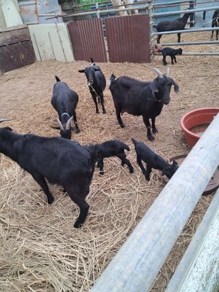 김석현님의 자유주제 · 자유게시판 작성글 사진