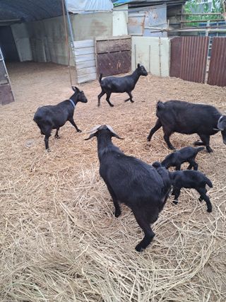 김석현님의 자유주제 · 자유게시판 작성글 사진