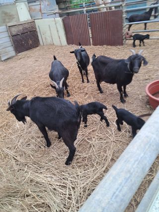 김석현님의 자유주제 · 자유게시판 작성글 사진