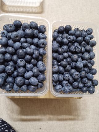 김아영님의 블루베리 · 자유게시판 작성글 사진