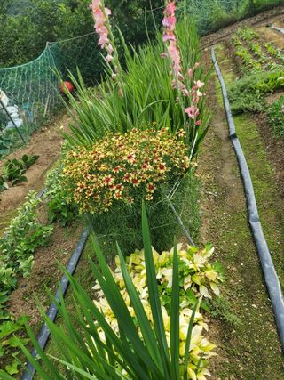 또비님의 자유주제 · 자유게시판 작성글 사진