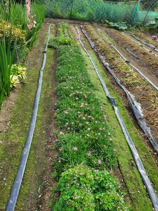 또비님의 자유주제 · 자유게시판 작성글 사진