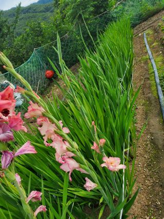 또비님의 자유주제 · 자유게시판 작성글 사진