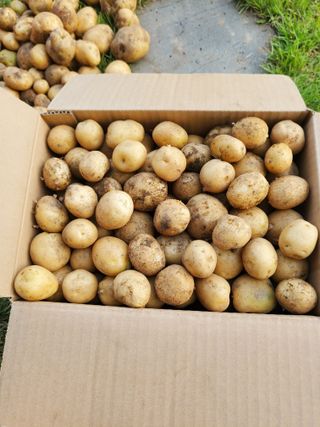 또비님의 자유주제 · 자유게시판 작성글 사진