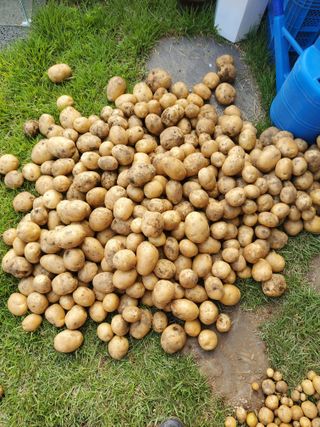 또비님의 자유주제 · 자유게시판 작성글 사진