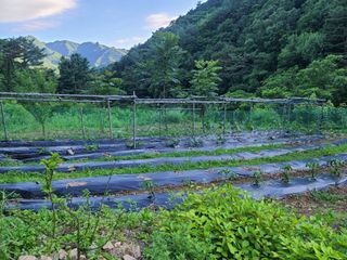 고세웅님의 우리동네 · 동네정보 작성글 사진