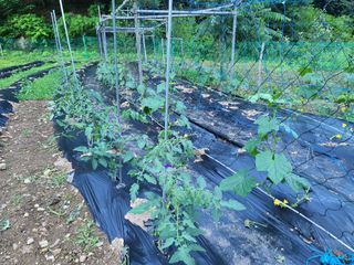 고세웅님의 우리동네 · 동네정보 작성글 사진