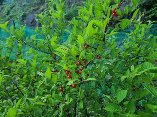 고세웅님의 우리동네 · 동네정보 작성글 사진