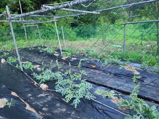 고세웅님의 우리동네 · 동네정보 작성글 사진