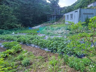 고세웅님의 우리동네 · 동네정보 작성글 사진