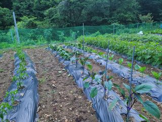 고세웅님의 우리동네 · 동네정보 작성글 사진