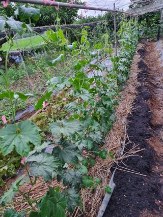 김 기 동님의 벼 · 영농일지 작성글 사진