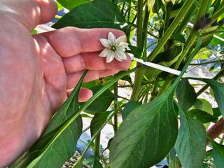 권희석 섬초님의 장마 대비 어떻게 하셨나요? · 참여 작성글 사진