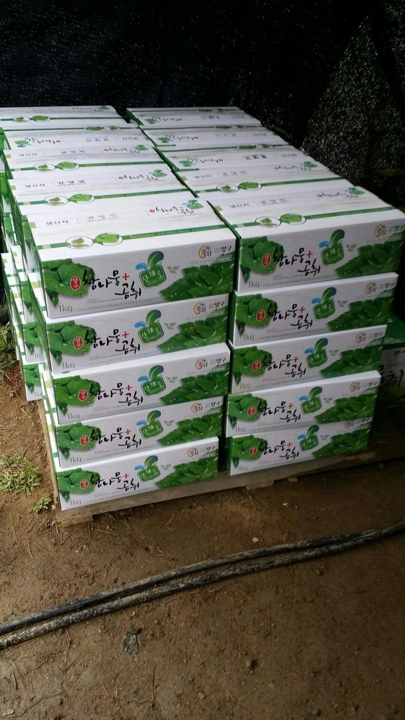 병풍취산채농원님의 장터 판매 상품 [곰취 잔대 산마늘 눈개승마등] 첨부 사진