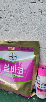 팜모닝 오이·자유게시판 게시글 이미지