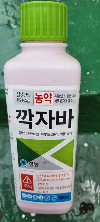 권세택 님의 감 · 자유게시판 작성글 사진