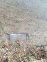 팜모닝 장마 대비 어떻게 하셨나요?·참여 게시글 이미지