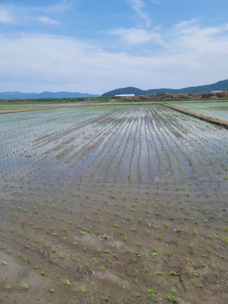 강성규님의 장마 대비 어떻게 하셨나요? · 참여 작성글 사진