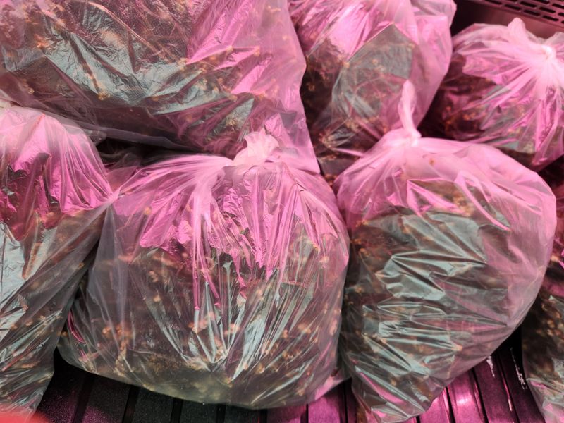 장터 상품 [햇고사리] 썸네일