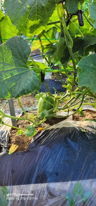 김정임님의 자유주제 · 자유게시판 작성글 사진