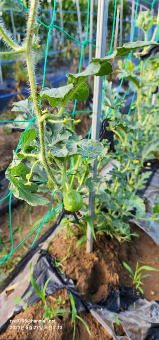 김정임님의 자유주제 · 자유게시판 작성글 사진