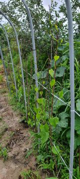 팜모닝 자유주제·자유게시판 게시글 이미지