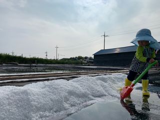 최성일님의 작성글 사진