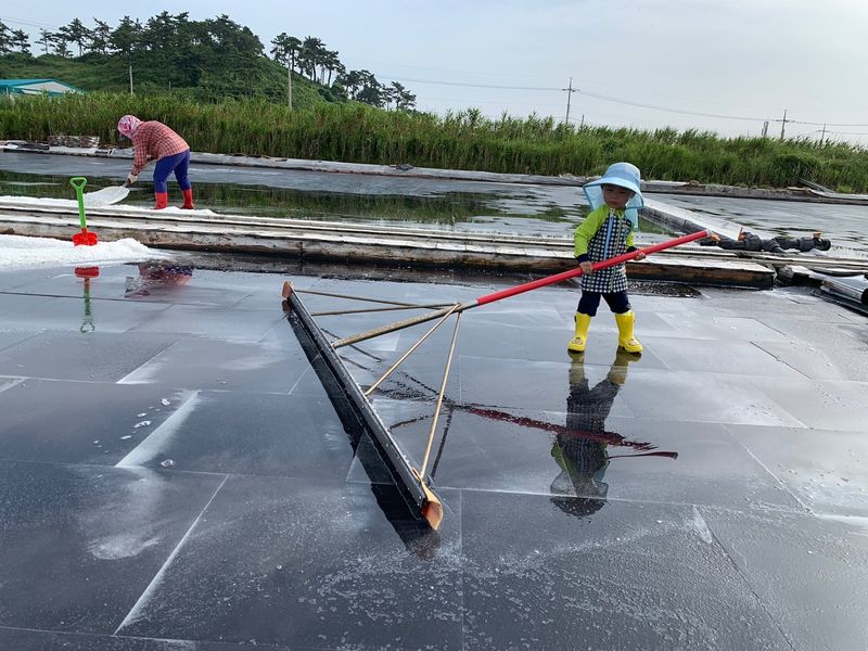 최성일님의 장터 판매 상품 [신안 소금 ( 천일염 ) 20Kg 팝니다] 첨부 사진