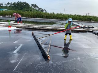 최성일님의 작성글 사진