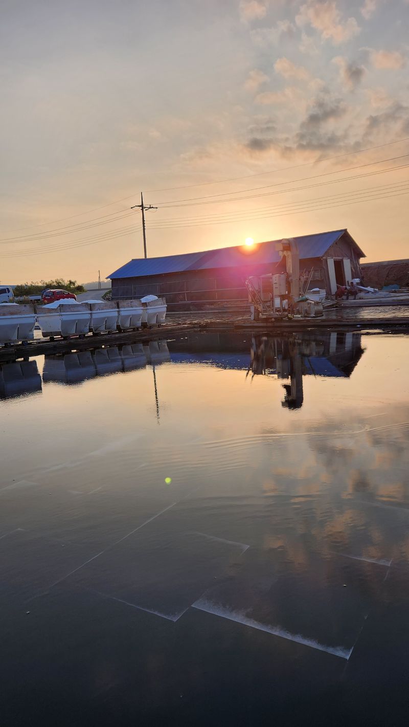최성일님의 장터 판매 상품 [신안 소금 ( 천일염 ) 20Kg 팝니다] 첨부 사진