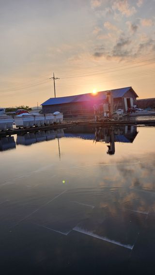최성일님의 작성글 사진