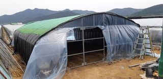 우포로찐님의 하우스정보 · 자유게시판 작성글 사진