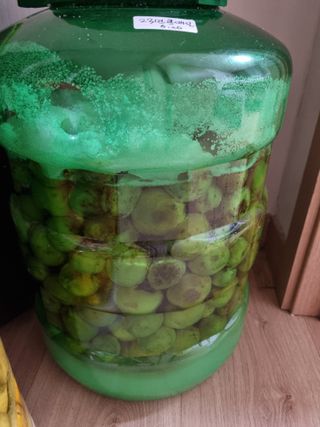 황매실님의 매실 · 자유게시판 작성글 사진