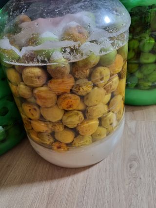 황매실님의 매실 · 자유게시판 작성글 사진