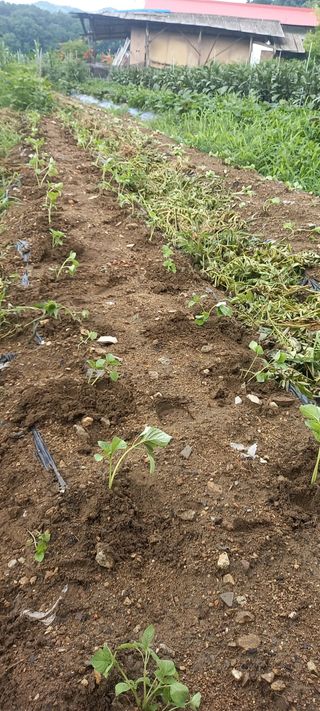 고병길님의 자유주제 · 자유게시판 작성글 사진