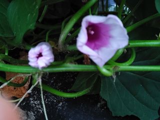 안길원님의 자유주제 · 자유게시판 작성글 사진