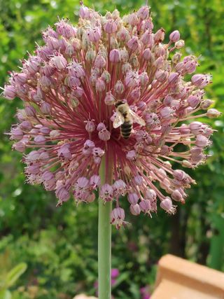 안길원님의 자유주제 · 자유게시판 작성글 사진