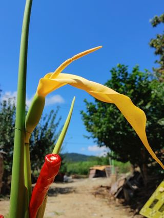 안길원님의 자유주제 · 자유게시판 작성글 사진