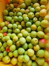 팜모닝 사과·영농일지 게시글 이미지