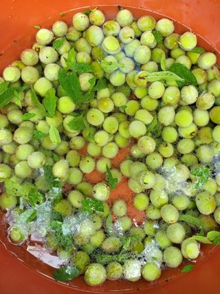 체리123님의 매실 · 자유게시판 작성글 사진