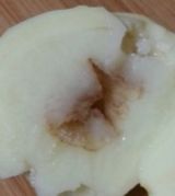 팜모닝 감자·자유게시판 게시글 이미지